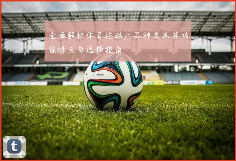 全面解析体育运动产品种类及其功能特点与选择指南